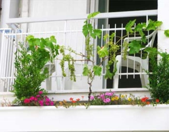 B&B Residence Sorriso Cattolica Esterno foto
